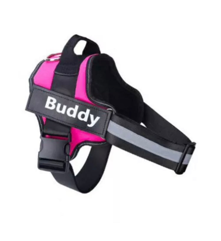 Personalized Dog Harness with Name Tag